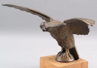 Antique Cast Bronze American Eagle Flagpole Topper Sculpture,  Nr