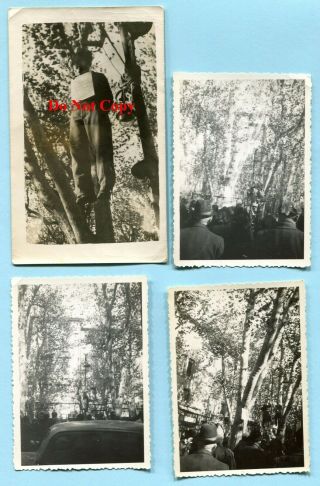 4 Orig Aug 1944 Wwii Southern France Photos Hanging Traitor German Collaborator