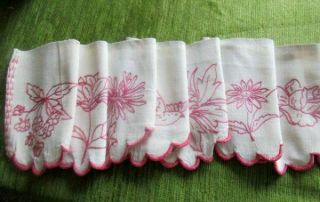 French Antique Shelf Valance - Hand Embroidered Flowers,  Birds,  Dragonfly - Long