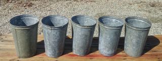 4 Old Galvanized Maple Syrup Sap Buckets Tapered W/ Double Rim