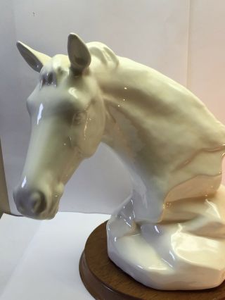 Horse Head Ceramic Bust 4