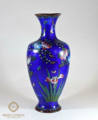 Fantastic Antique 19th Century Chinese Japanese Cloisonne Underwater Effect Vase