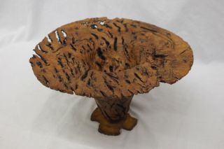 Hand Crafted Pecky Cypress Wood Centerpiece 11 " Pedestal Coffee Table Bowl