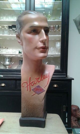 Vintage 1930 male plaster of Paris Mannequin bust head publicity HARLEY SPORT 2