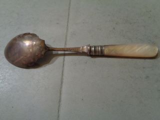 Rare Solid Silver / Mother Of Pearl Old Spoon