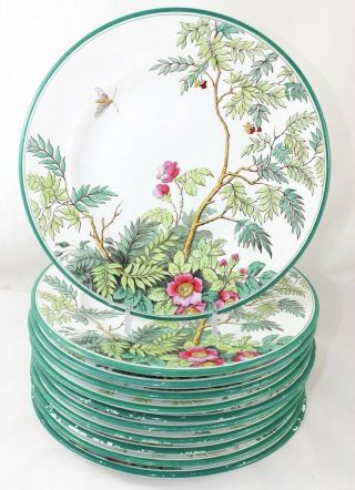 Hand Painted Old Antique English Set 11 Plates Garden Flowers Butterfly Green