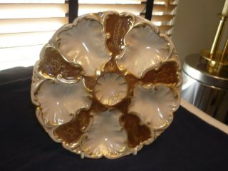 Antique Oyster Plate/dish Great Colors