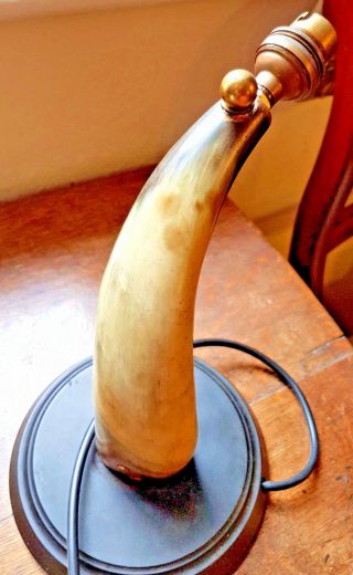 Vintage Table/desk Lamp - Unusual Made From Cow Horn With Bakelite Base