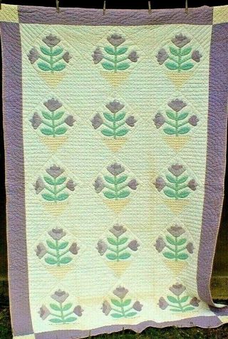Antique Vintage 1930s - Sweet Lavender Triple Tulip Applique Quilt