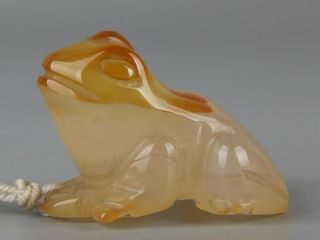 Chinese Exquisite Hand Carved Frog Carving Agate Pendant
