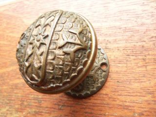 Antique Fancy Brass Doorknob and Matching Rosette by Nashua c1885 2