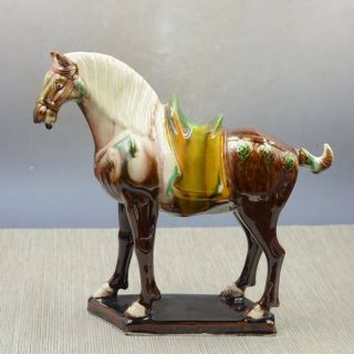 China Tang Tri - Color Glazed Ceramics Porcelain Animal Desert Horse Statue
