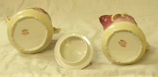 R.  S.  Prussia/Germany Saxe Altenburg Antique porcelain sugar and creamer 4