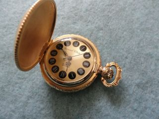 Germinal Voltaire 17 Jewels Incabloc Mechanical Wind Up Pocket or Pendant Watch 5