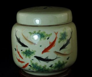 Chinese Old Hand - Made Pastel Porcelain Goldfish Tea Pot /tongzhi Mark C01