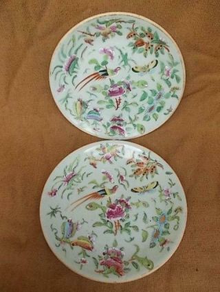144/ 19th Century Chinese Celadon And Famille Rose Plates.  Seal To Base
