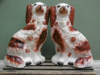 Pr 19thc Staffordshire Red & White Spaniel Dogs In Sitting Pose