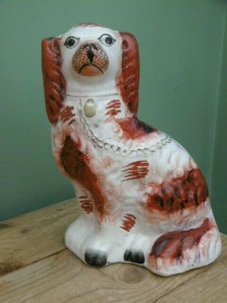 Pr 19thc STAFFORDSHIRE RED & WHITE SPANIEL DOGS IN SITTING POSE 2