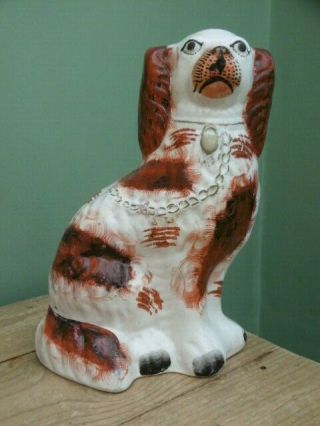 Pr 19thc STAFFORDSHIRE RED & WHITE SPANIEL DOGS IN SITTING POSE 3