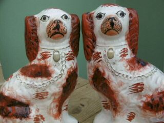 Pr 19thc STAFFORDSHIRE RED & WHITE SPANIEL DOGS IN SITTING POSE 4