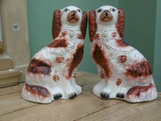 Pr 19thc STAFFORDSHIRE RED & WHITE SPANIEL DOGS IN SITTING POSE 5