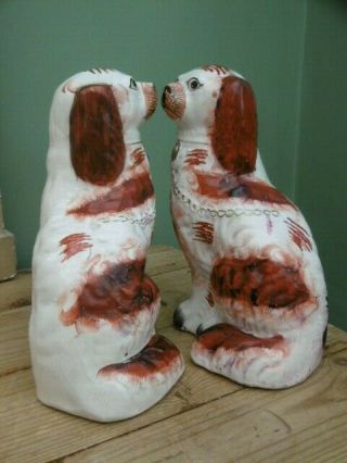 Pr 19thc STAFFORDSHIRE RED & WHITE SPANIEL DOGS IN SITTING POSE 6