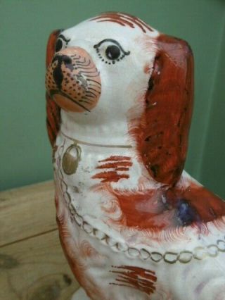 Pr 19thc STAFFORDSHIRE RED & WHITE SPANIEL DOGS IN SITTING POSE 7