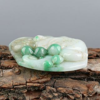 Chinese Exquisite Hand - carved bird Carving jadeite jade Pendant 4