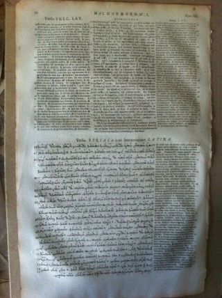 1657 Polyglot Bible SYRIAC Greek Latin 4