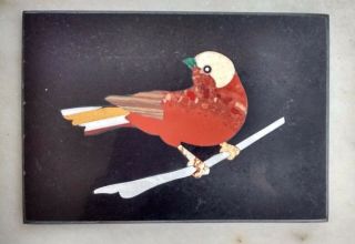 Handmade Love Bird 22 Pietra Dura Plaque Micro Mosaic from India 2