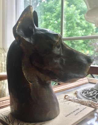 ANTIQUE MCCLELLAND BARCLAY USA GREAT DANE DOG BUST ART STATUE SCULPTURE MCM 2