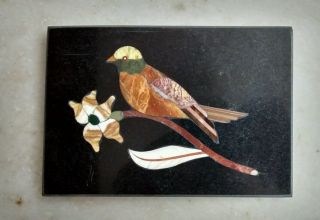Love Bird Inlayed On Stone Pietra Dura Plaque Micro Mosaic From India