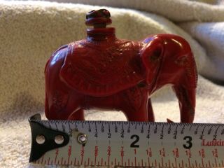 Exquisite Chinese Red Coral Hand Carved Elephant Snuff Bottle