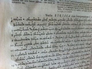HISTORIC 1657 Polyglot Bible GREEK SYRIAC Hebrew Latin English Set 1st 5