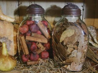 Primitive Halloween Witch ' s Pantry Glass Herb Jars With Shoo Fly Dome Metal Lids 3