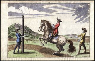 344 Yr Old Hand - Colored Equestrian Engravings Dressage George Von Adlersflùge