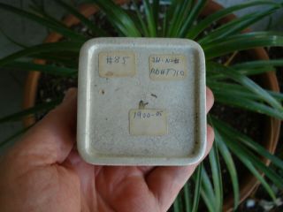 Antique,  (c1900 - 05),  ToothPaste jar,  pot lid.  with orig contents 7