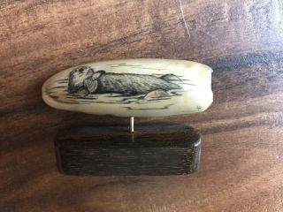 Small Scrimshaw Figurine With Photo Of Otter,  Resin,  Desk Decoration