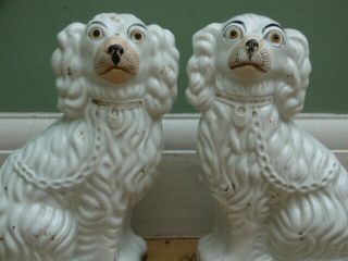 Pr 19thc Staffordshire White Spaniel Dogs In Sitting Pose N0.  2 C.  1850