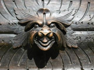 19thc Gothic Oak Carved Lion Panel With Acanthus Leaf