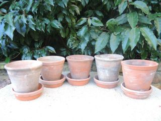 5 Old Hand Thrown Terracotta Plant Pots Pots 5 Plus Saucers (401a)
