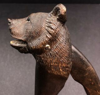 Antique German Black Forest Bear Detailed Carved Wooden Nut Cracker W/glass Eyes