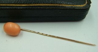 A 9ct Gold Antique C19th Century Victorian Era Natural Coral Tie Lapel Pin.