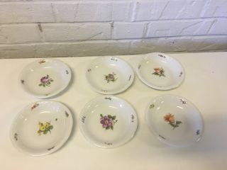 Vtg Antique German Nymphenburg Porcelain Set 6 Butter Oil Dishes Painted Flowers