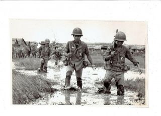Vietnam War Press Photo - So.  Viet Soldiers 21st Div Slog Thru Mud - U Minh Forest