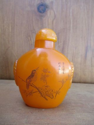 Chinese Ch ' ing Dynasty Snuff Bottle Amber Butterscotch Incised Bird Motif c.  1900 5