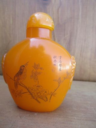 Chinese Ch ' ing Dynasty Snuff Bottle Amber Butterscotch Incised Bird Motif c.  1900 6