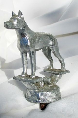 ART DECO PERIOD CHROME DOG MASCOT Vintage Antique Trophy Topper - Auto Car Truck 2