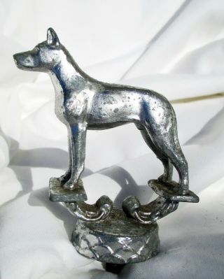 ART DECO PERIOD CHROME DOG MASCOT Vintage Antique Trophy Topper - Auto Car Truck 6