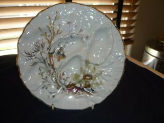 Antique Turkey Oyster Plate/dish With Sealife,  Marked On Back